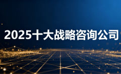 合作力正在于“品牌计谋的系统化输出”